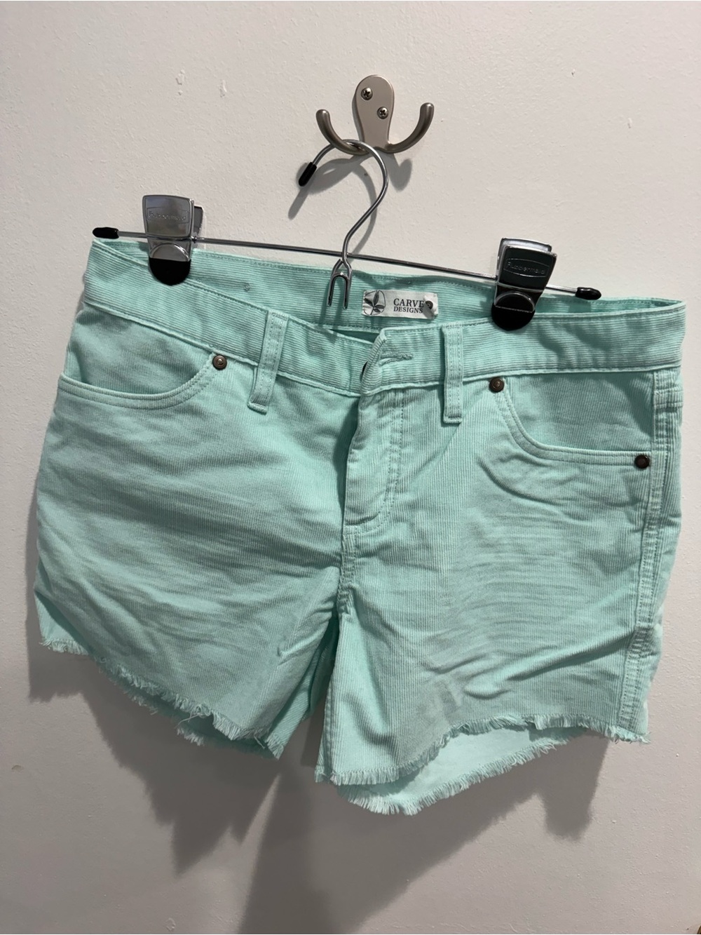 Carve Designs Minty Aqua Oahu 4” shorts